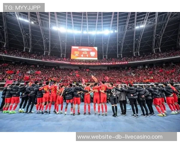 国足球迷心声：期待与失落交织的绿茵梦想与未来展望